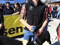 2019_ausstellung polling_369